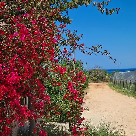 Tenuta Di Ruberto